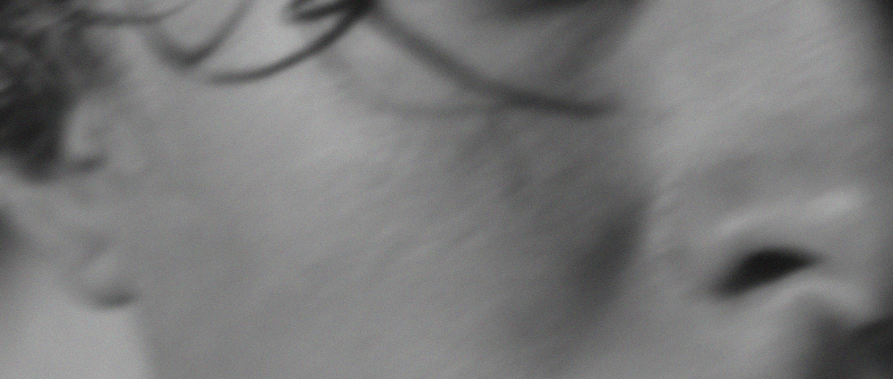 Exosomes and regenerative skincare