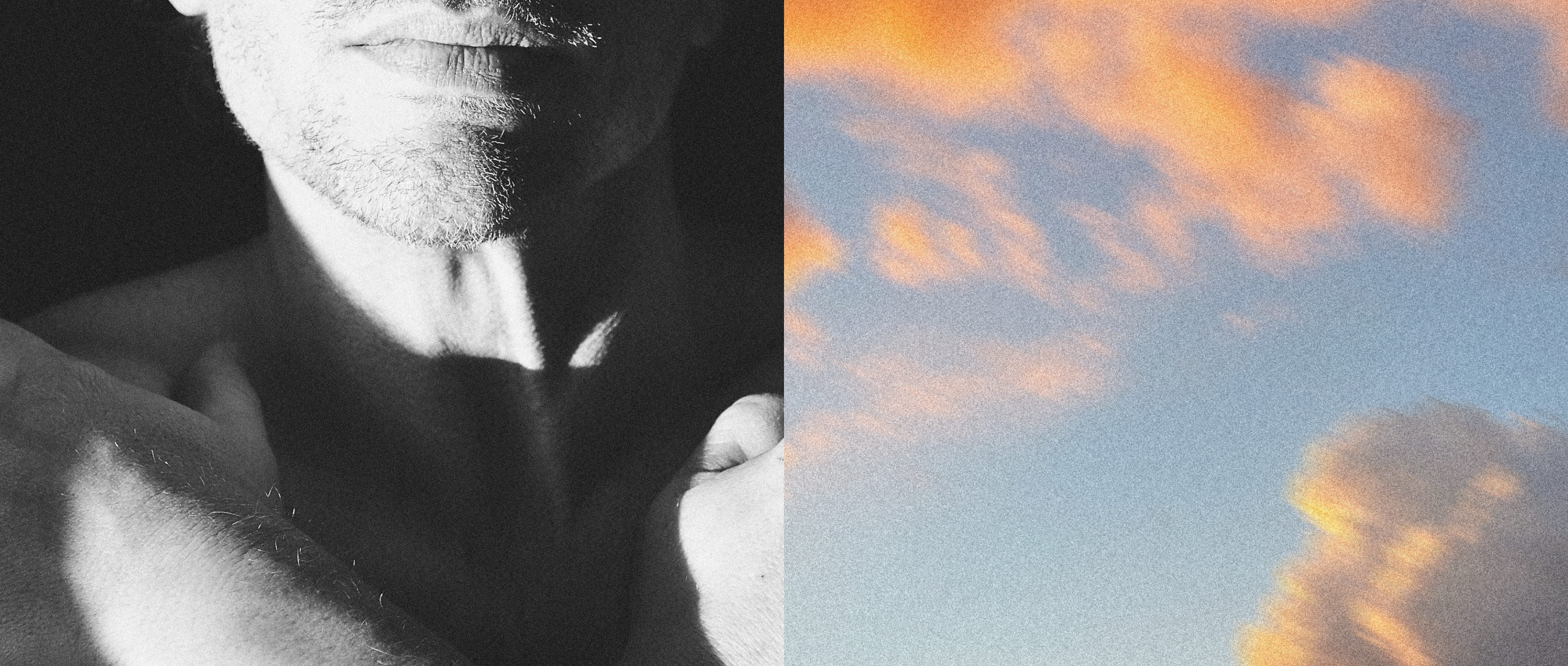 Sun protection from within: ancient plant power backed by science